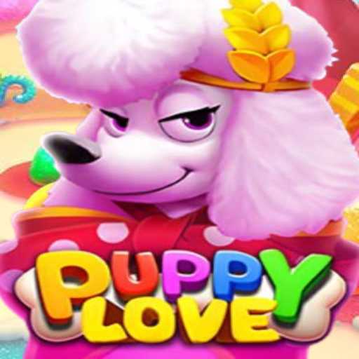Explore PuppyLove: Dive into One of Brazil's Best Online Games